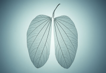 12 Common Signs & Symptoms of Bronchitis