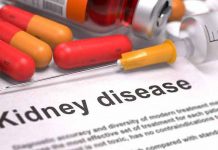 10 Foods of Kidney Disease Diet