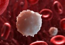 Interesting Facts about White Blood(Leukocyte)