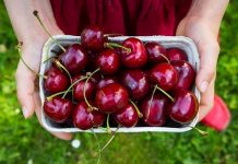 Health Benefits of Cherries