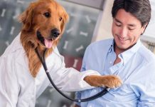 10 Benefits of Pet Therapy