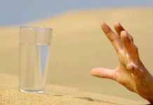 Common Symptoms of Dehydration