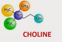 5 Health Benefits of Choline