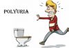 Polyuria – Symptoms, Causes, Diagnosis, Treatment