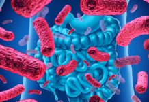 5 Things to Know About Probiotics
