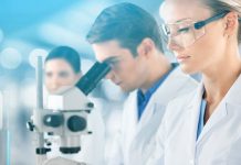 Experts on Gut Health Define “Synbiotics”