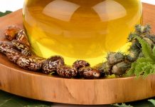The Things You Should Know about Castor Oil Pack