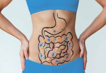 How Your Gut Bacteria Play a Key Role in Weight Loss