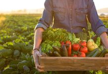 Plant-Based Products Generate Less Greenhouse Gas