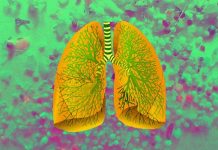 Study Found Evidence of Microplastics in Humans’ Lungs