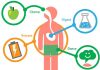 Diabetes and Metabolism: The Impacts to Know