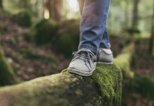 What is Fragile X Syndrome (FXS)