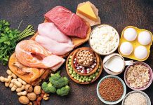 Which Is Better Source of Protein: Chicken or Plant-Based Meat?