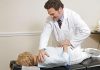 How a Chiropractor Can Help with Sciatica