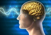 Brain Stimulation and Cognitive Training Are Linked to Better Memory